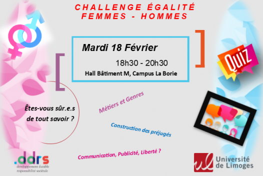 afficheprojetddrs