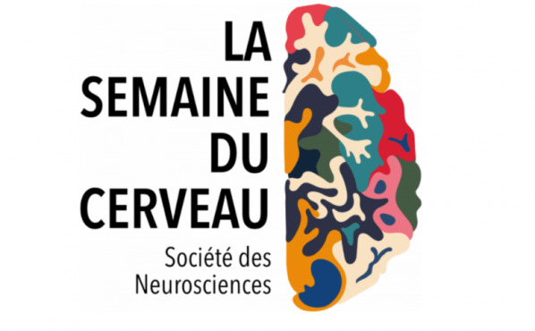 la-semaine-du-cerveau-2025